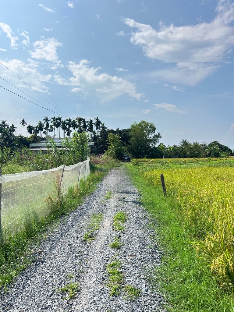 Bán đất rộng 493m2 full thổ cư giá rẻ 1,3 tỷ