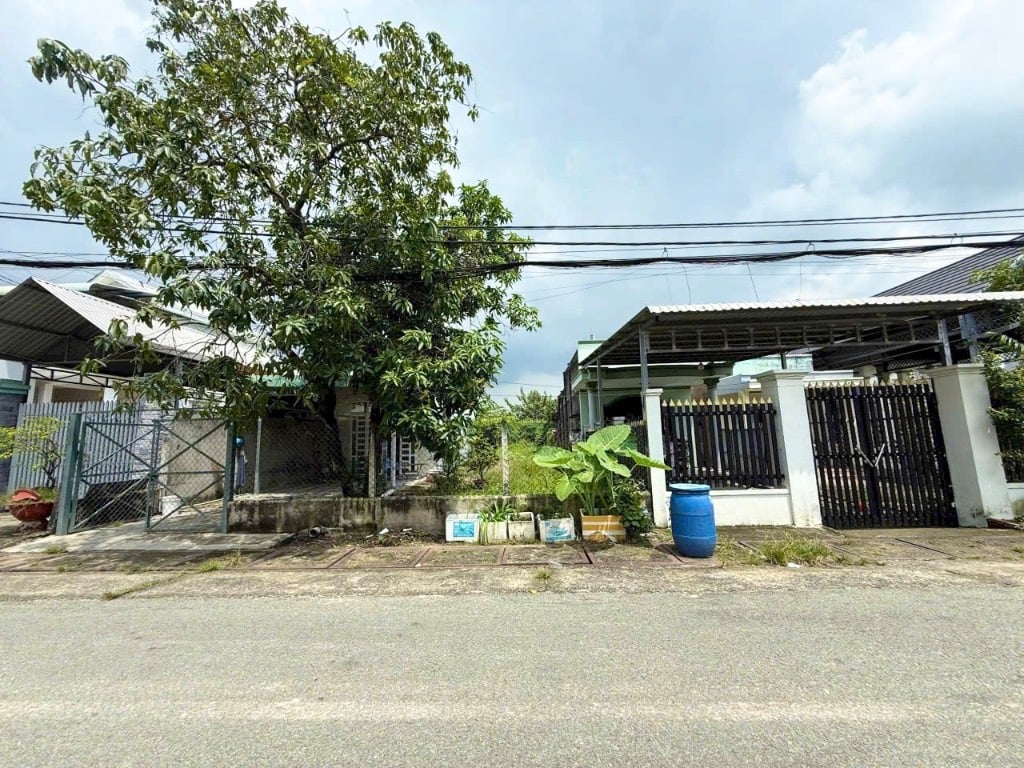 Bán đất Tân Thông Hội, Củ Chi, khu Việt Kiều, 175m² , Full thổ cư, nở hậu đẹp