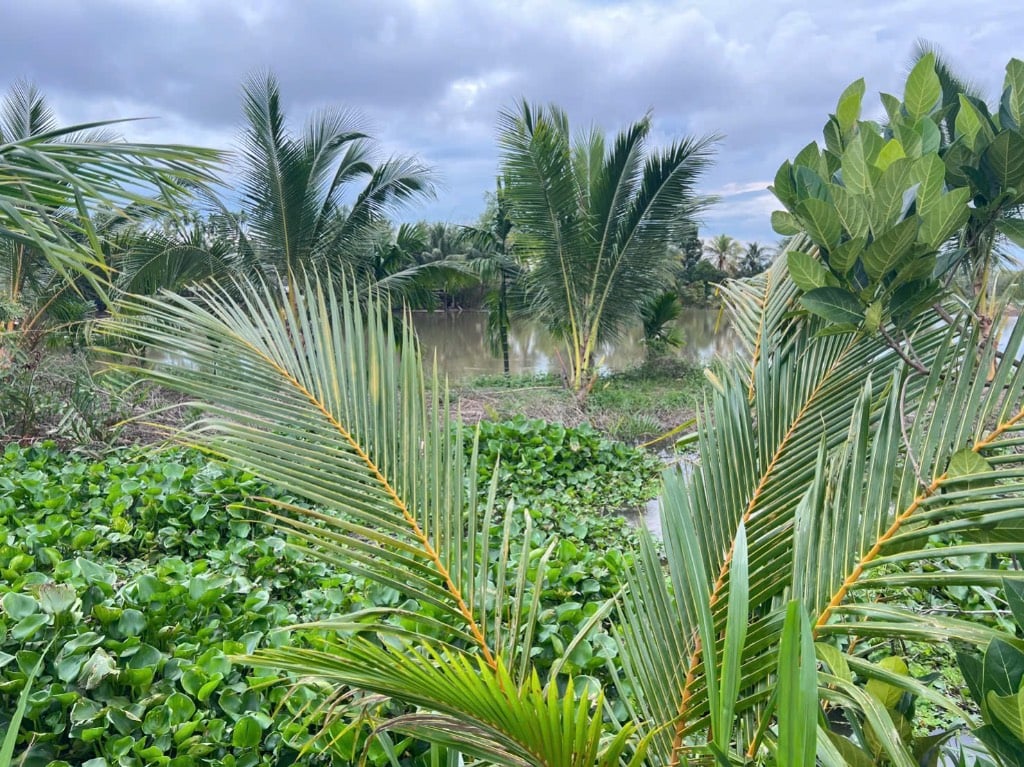 Bán đất làm nhà vườn nghĩ dưỡng 20x67,5