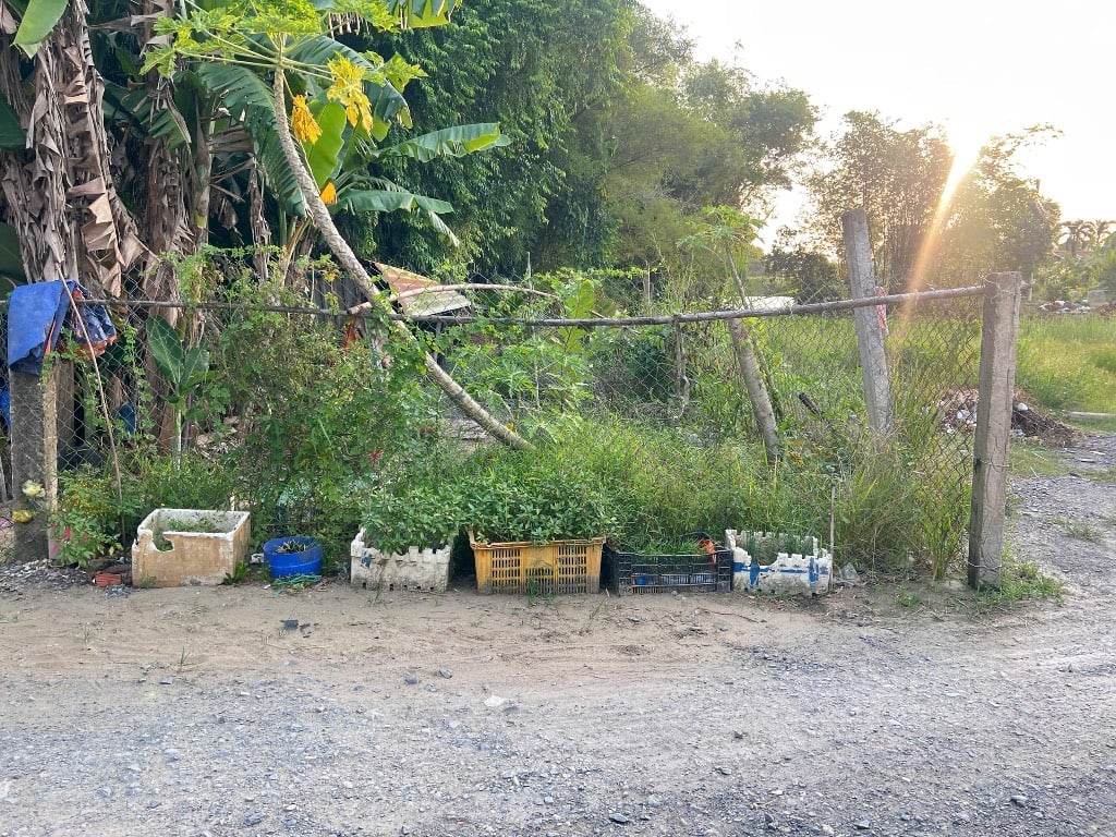 Bán đất chính chủ giá rẻ cất nhà