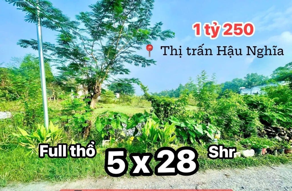 thuviennhadat.vn