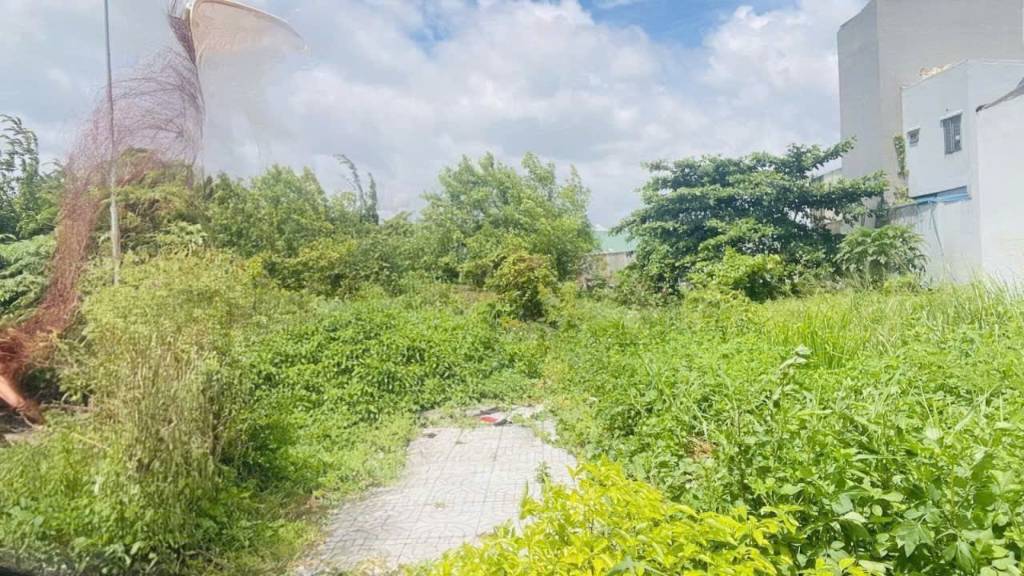 GIẢM SỐC 1 TỶ – ĐẤT AN PHÚ ĐÔNG Q12 CẠNH GÒ VẤP
SIÊU HIẾM 732m² – GIÁ CHỈ 24 TỶ