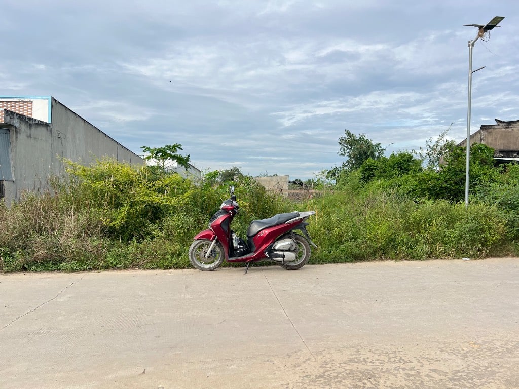 Bán đất Đức Hoà Thượng, Đức Hòa, rộng 1200m2, đường bê tông 5m, giá nhỉnh 5 tỷ