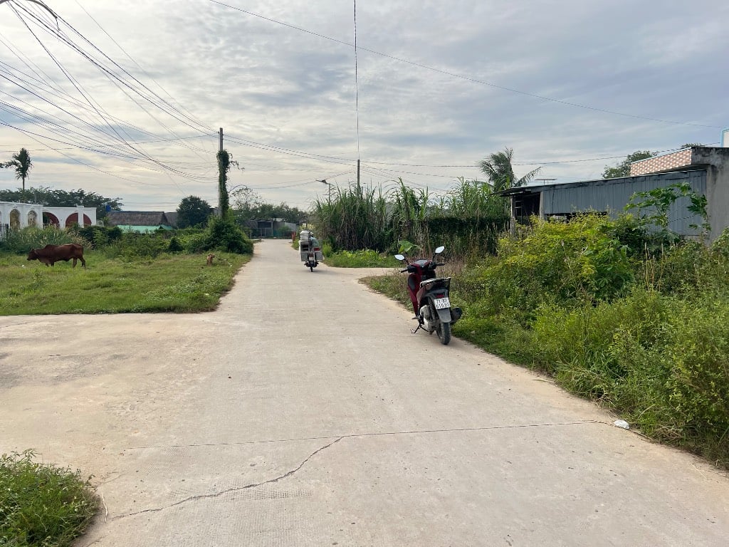 Bán đất Đức Hoà Thượng, Đức Hòa, rộng 1200m2, đường bê tông 5m, giá nhỉnh 5 tỷ