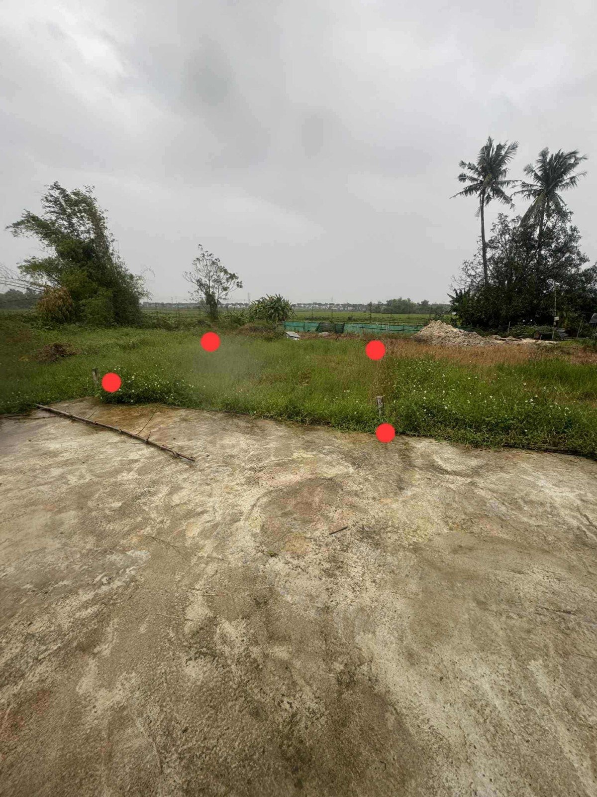 🌟 ĐẤT ĐẸP LƯU QUANG VŨ – KIỆT Ô TÔ TẢI – CHỈ 2,45 TỶ!