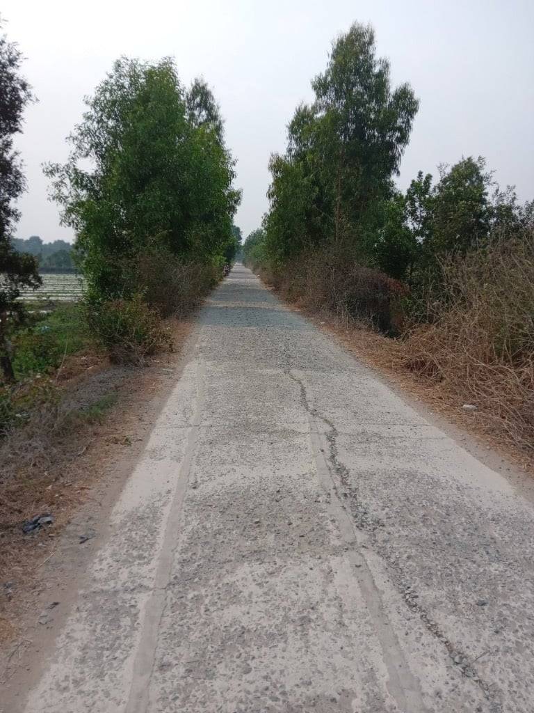 Bán đất Tân Hiệp, Thạnh Hóa, Long An, 4812m2, đầu tư sinh lời, giá tiềm năng