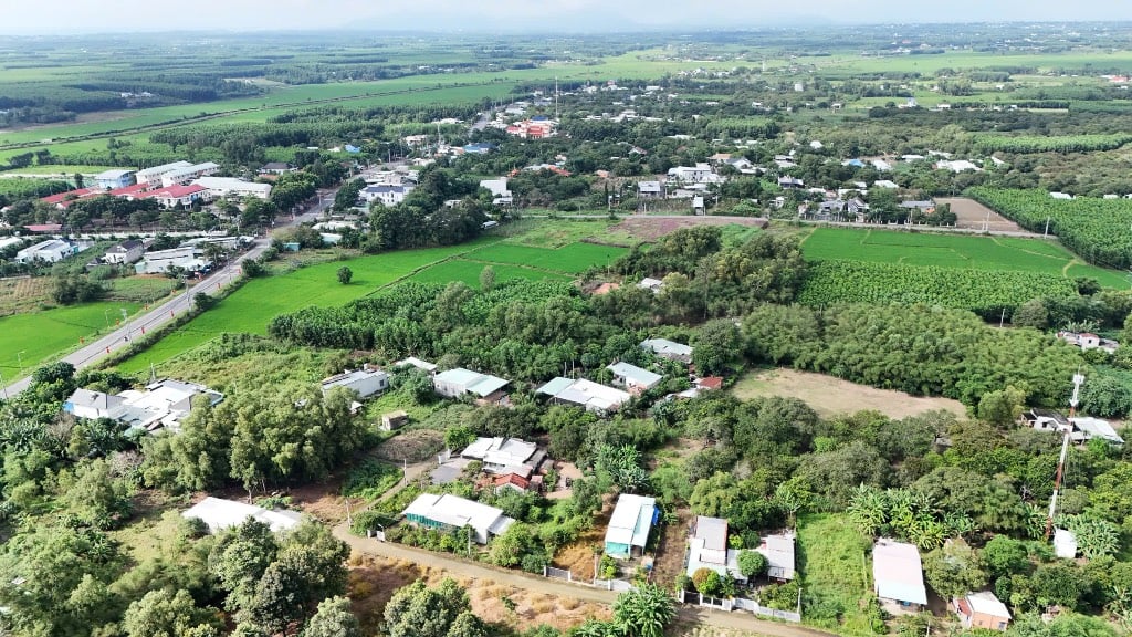 Sản Phẩm F0 Chủ Vừa Giao Cho Em Tổng Cộng 10 Lô c bán lẻ cho quý anh chị có nhu cầu