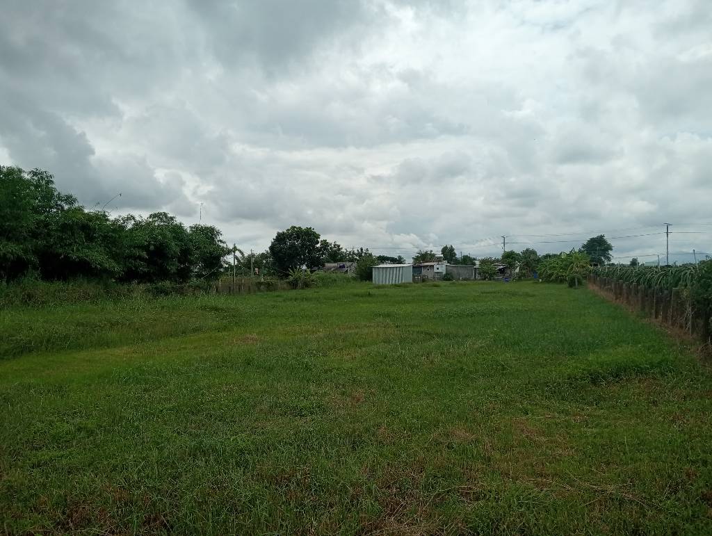 Bán đất thôn Đại Lộc, Hàm Thuận Bắc, Bình Thuận, đất cây trồng, dt 3875,7m2