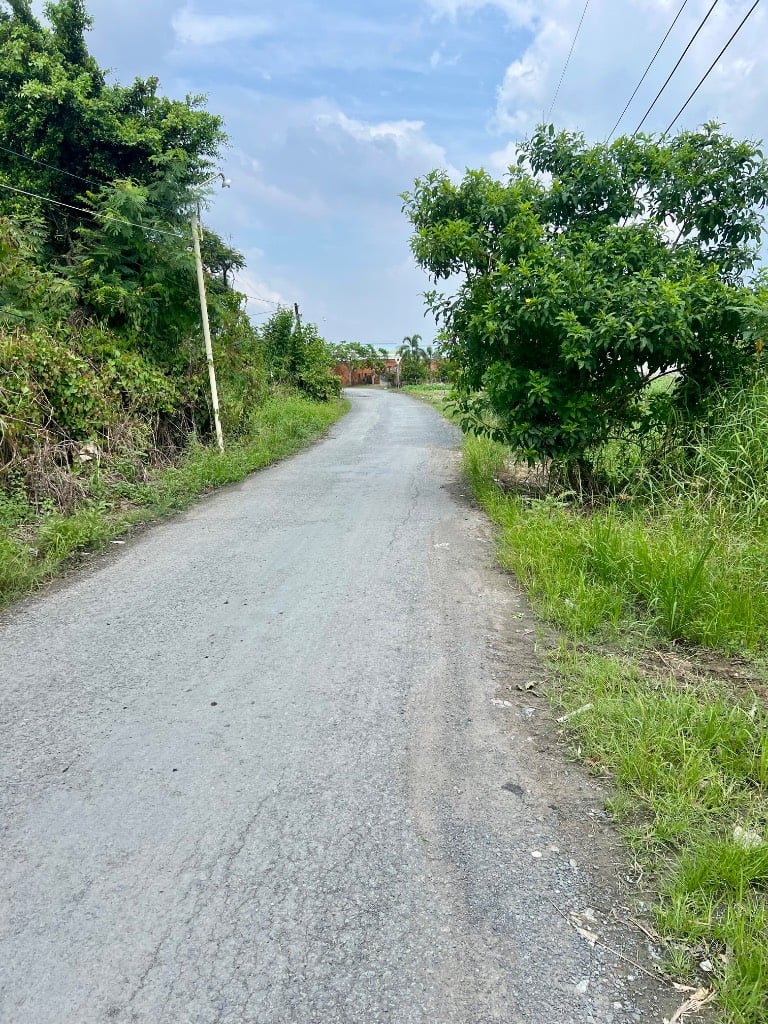 Cần bán 2 lô đất liền kề Gò Công Đông, Tiền Giang, đường ô tô, 317m², chỉ 690 triệu