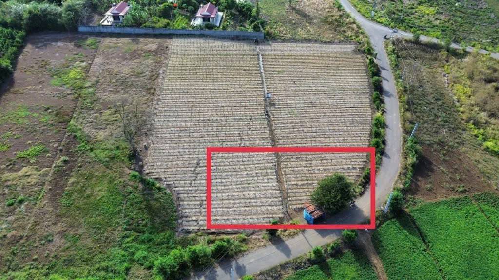 Bán đất Suối Rao, huyện Châu Đức, lốc 14 lô F0, sổ sẵn, giá đầu tư chỉ từ 1,3 tỷ