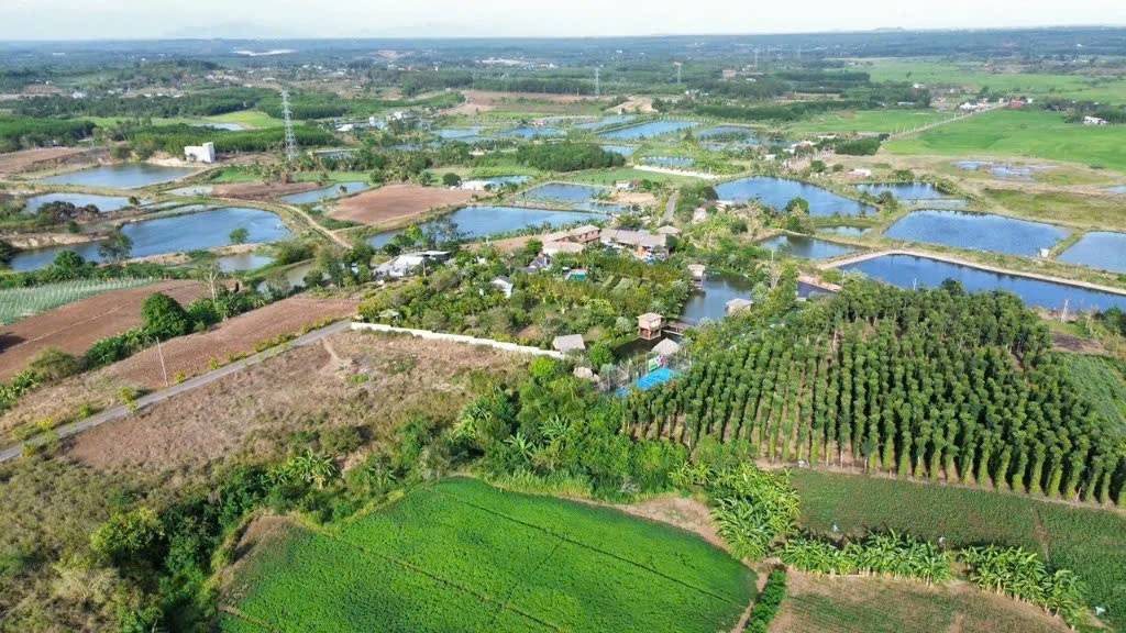 Bán đất nền Suối Rao, Châu Đức, lốc 14 lô F0, sổ sẵn, giá đầu tư chỉ từ 1,29 tỷ