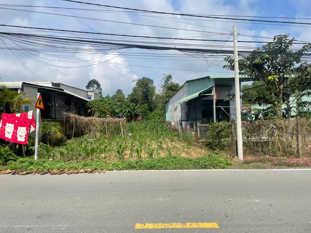 173m2 đất full thổ cư Thái Mỹ - SHR chỉ 1,25 tỷ