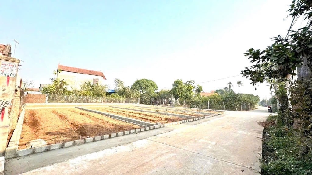 Bán đất Khoái Châu chính chủ, lô 67,6m² tại Đức Nhuận, Phạm Hồng Thái, Khoái Châu, Hưng Yên