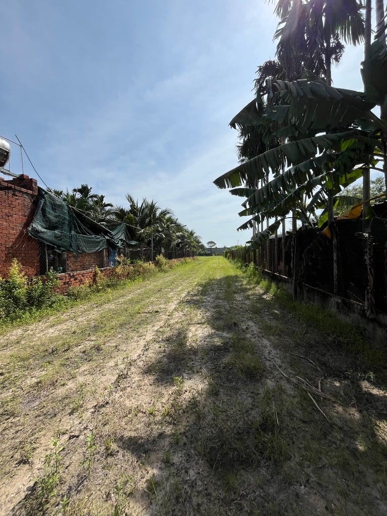 Bán đất mặt tiền Gia Lộc, Trảng Bàng, Tây Ninh, đường nhựa đẹp, chính chủ, giá ngộp