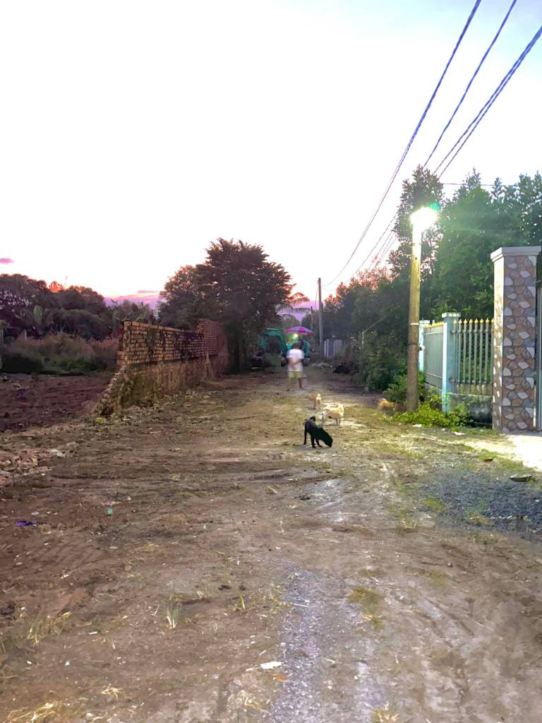 BÁN ĐẤT HÙNG VƯƠNG, PHƯỚC AN, NHƠN TRẠCH, SIỂU PHẨM 1000M2, 28M MẶT TIỀN, ĐẤT SẠCH FULL HỒNG