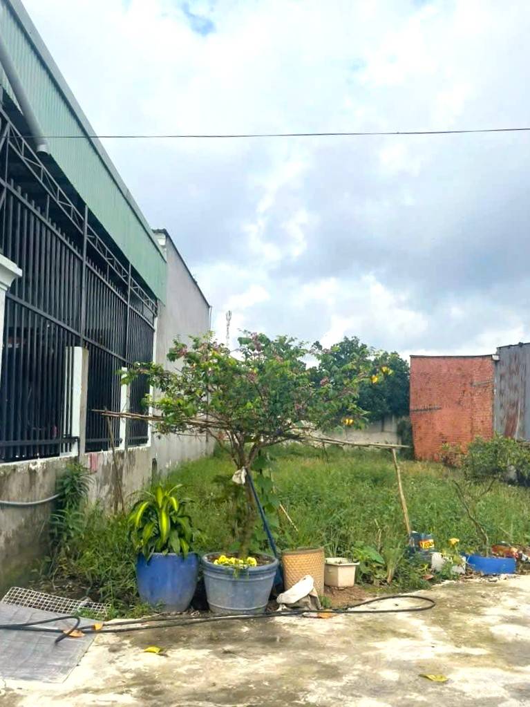 Bán lô đất đường Bến Than, Tân Thạnh Đông, Củ Chi, 163m2, shr, 780tr