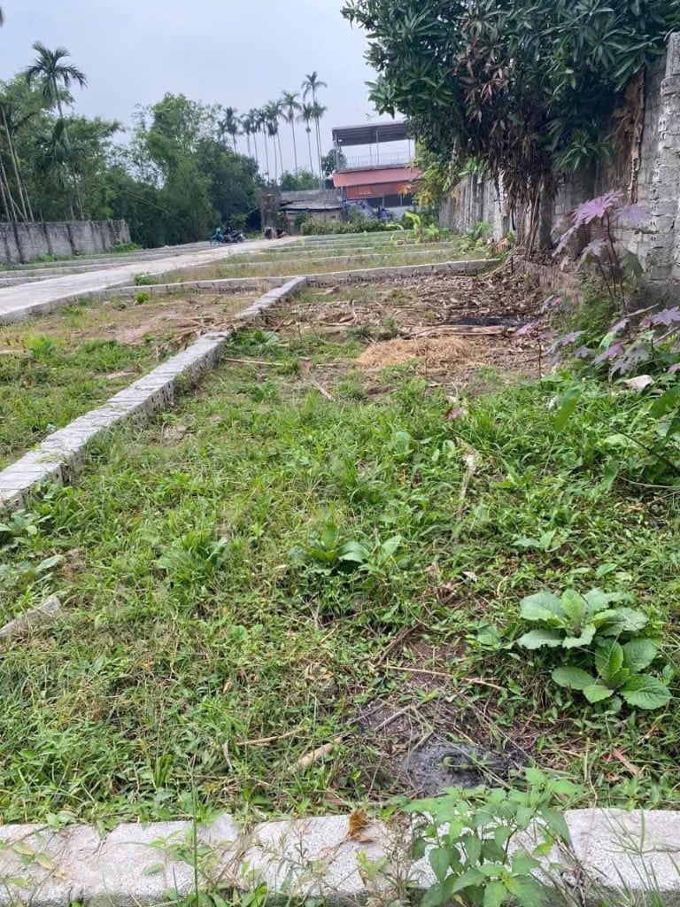 Bán đất Bạch Hạ, Phú Xuyên, đường ôtô chạy thông các ngã, gần chợ, siêu thị