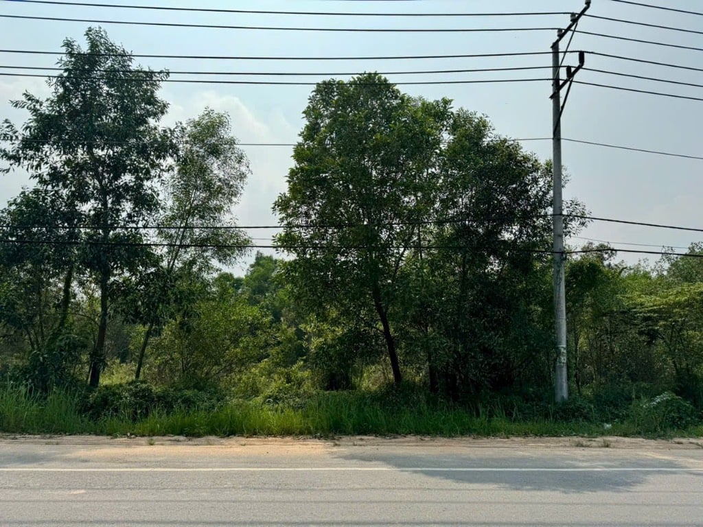 Bán đất Xã Long Tân, Nhơn Trạch,  chính chủ, đất sạch