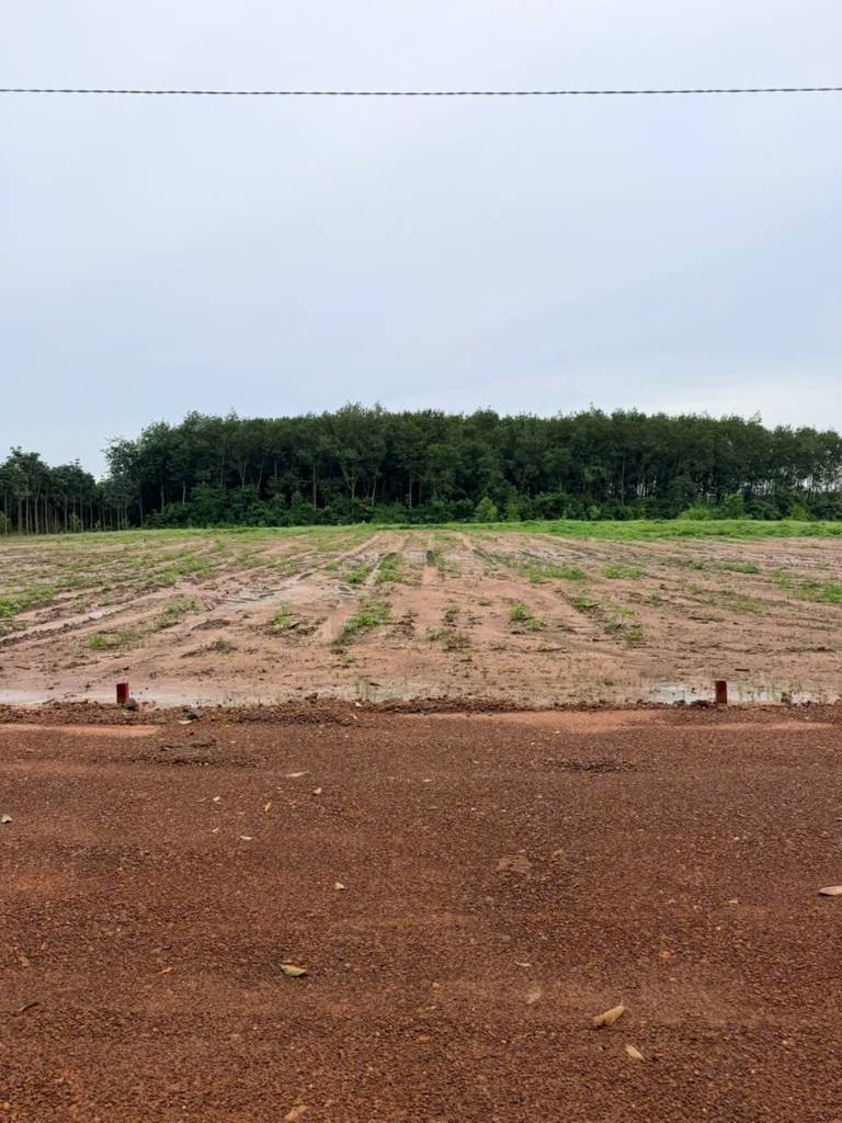 BÁN ĐẤT CHƠN THÀNH, BÌNH PHƯỚC, SỔ SẴN, CHỈ CẦN 199TR SỞ HỮU