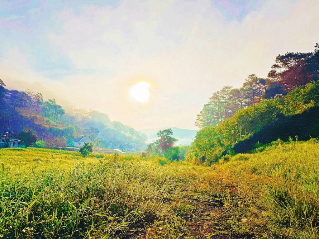 Bán đất xã Hiệp An, huyện Đức Trọng, 1000m2, ô tô vi vu, view đồi thông cực chill