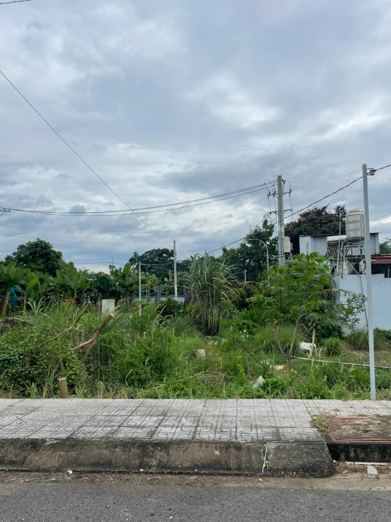 Bán đất xã Thái Mỹ, Củ Chi, 110m2 đất thổ, mặt tiền đường 24m, vị trí đẹp, SHR