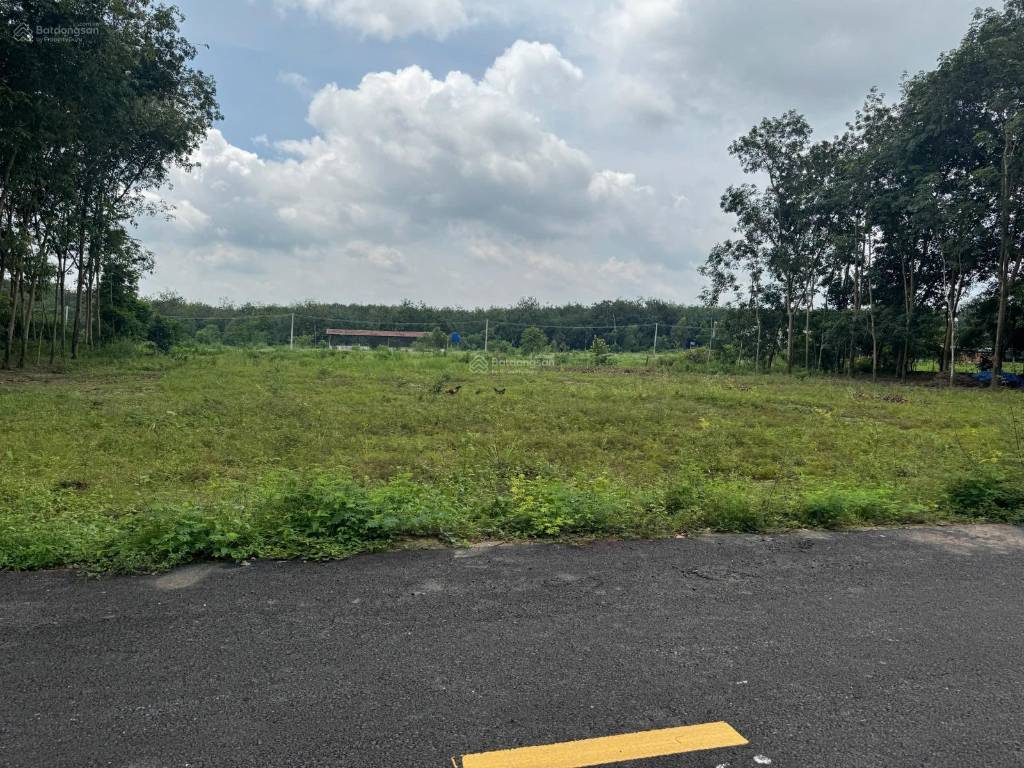 Bán lô đất vườn điều Tân Lợi, Đồng Phú, 3650m2, gần DT753, giá chỉ 680 triệu