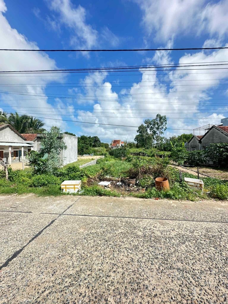 bán đất hằng năm khác . chính chủ . k dính qui hoạch