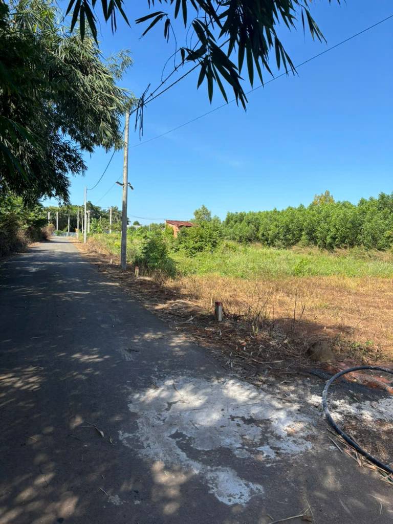 Bán đất xã Bá Đạc, có 82m thổ cư, mt đường nhựa, đối diện cty Cao Phát, thích hợp đầu tư, giá 1tỷ