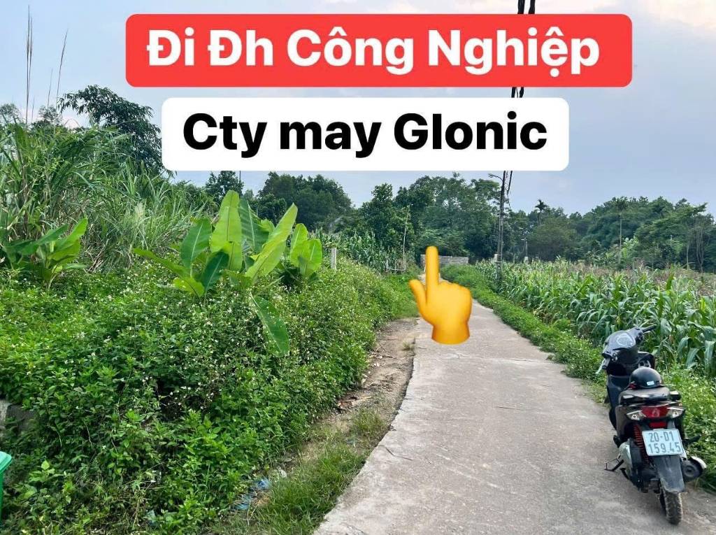 BÁN GẤP
Bán đất ở - Phường Phú Xá, TP. Thái Nguyên.