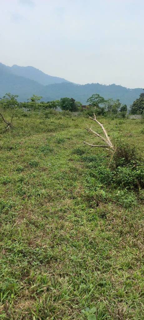 BA VÌ - ĐẦU TƯ - NHÀ VƯỜN NGHỈ DƯỠNG - HOMESTAY.