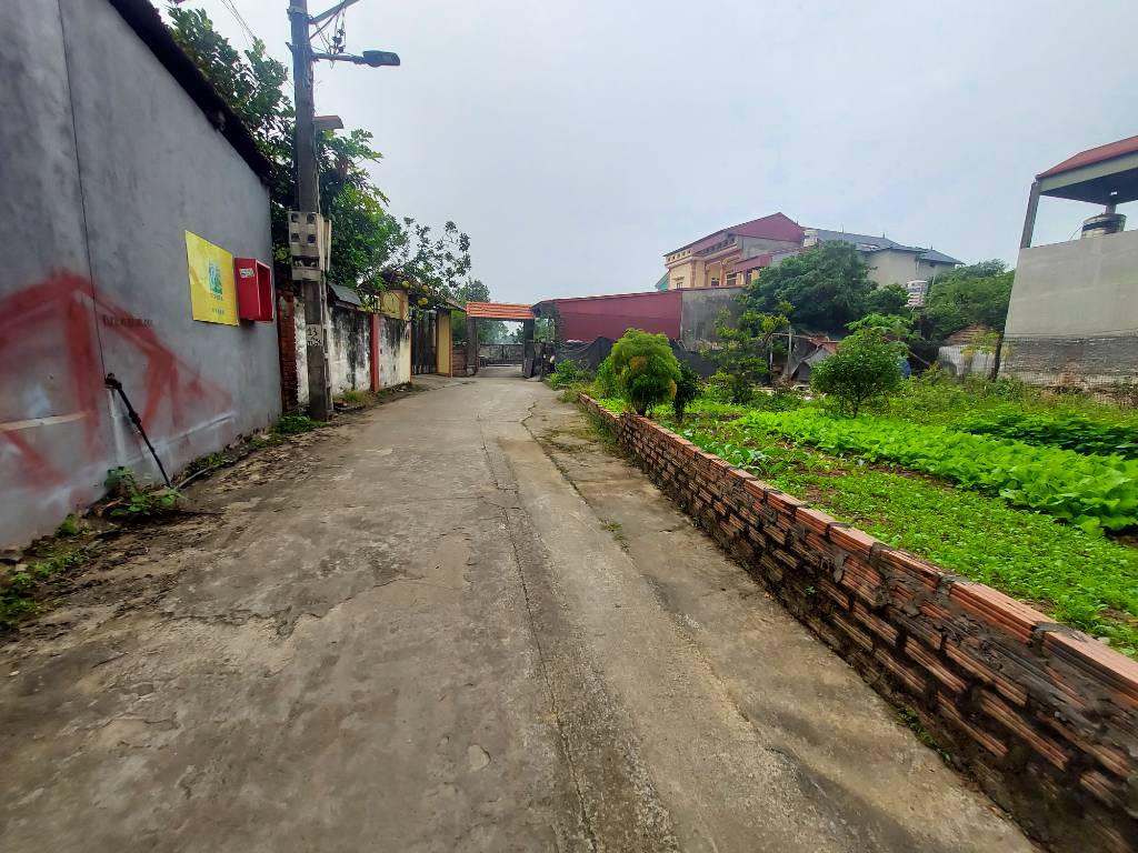 BÁN GẤP LÔ ĐẤT TIẾN THẮNG, MÊ LINH, 400M² MẶT TIỀN 21M, GIÁ CHỈ NHỈNH 29 TRIỆU/M²