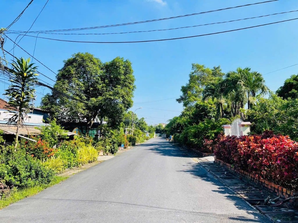 MẶT TIỀN BÙI THỊ HE – TRUNG TÂM TT CỦ CHI – 232m² THỔ CƯ – 730 TRIỆU