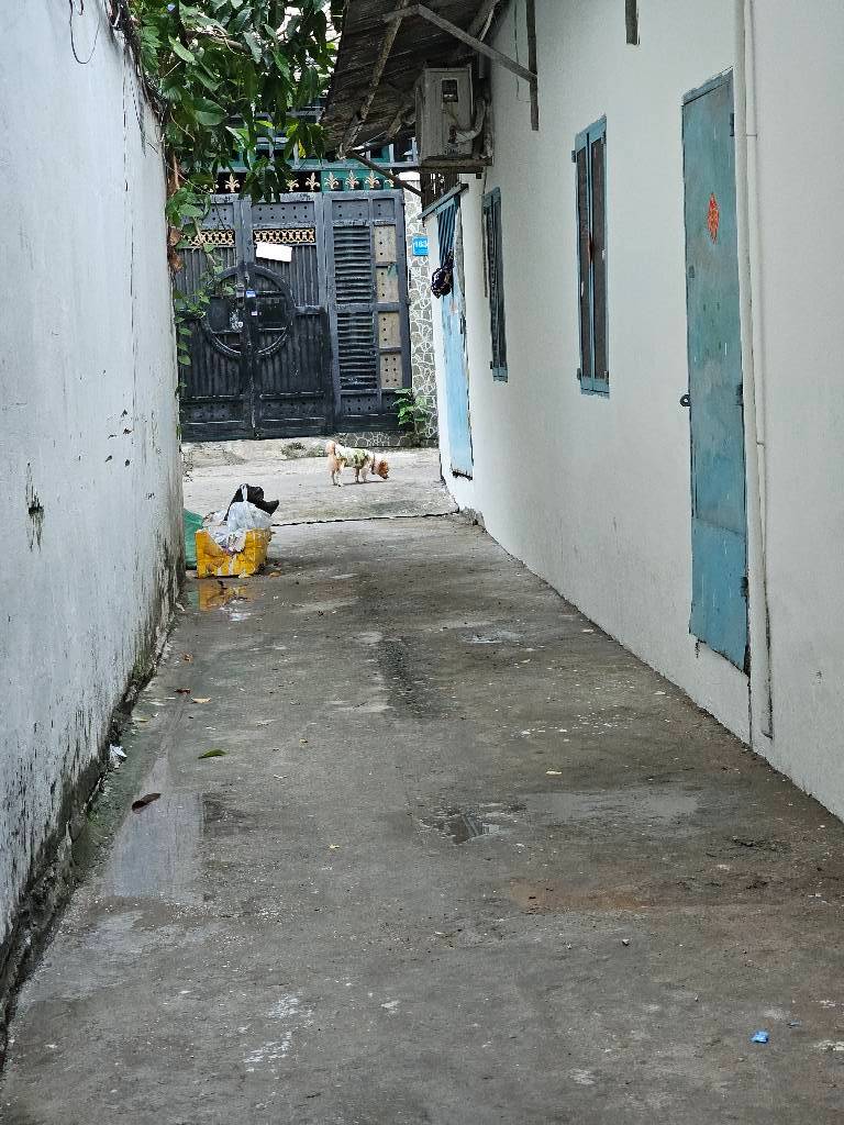 BÁN NHÀ TRUNG TÂM TÂN MỸ CHỈ 4TỶ2 NHÀ MỚI Ở NGAY MÀ NỘI THẤT CHẤT LỪ + SỔ HỒNG THỊT