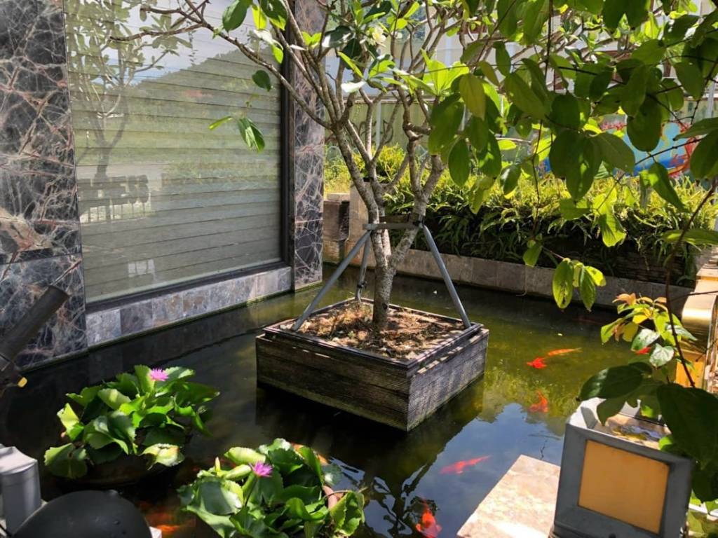 TÒA NHÀ 6 TẦNG MẶT TIỀN ĐƯỜNG LÊ VĂN LƯƠNG. QUẬN SƠN TRÀ TP ĐÀ NẴNG VỚI GIÁ CHỈ NHỈNH 30 TỶ