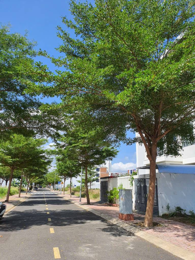 Chuyển nhượng quỹ đất nền Mipeco Nha Trang, tiềm năng phát triển, giá chỉ từ 78tr/m2