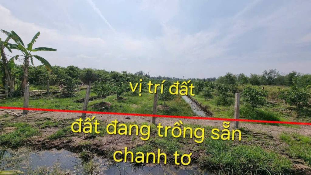 thuviennhadat.vn