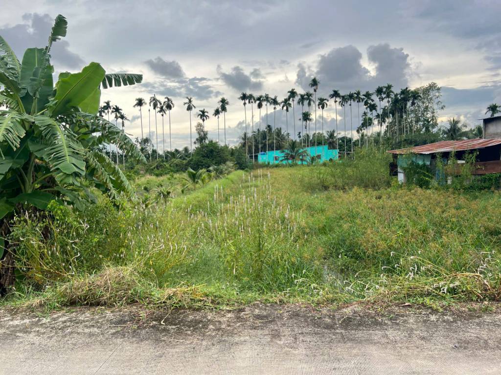 Bán đất vườn Hòa Khánh Tây, sát đường vành đai 4, có 400m2 thổ cư 950m2 đất vườn