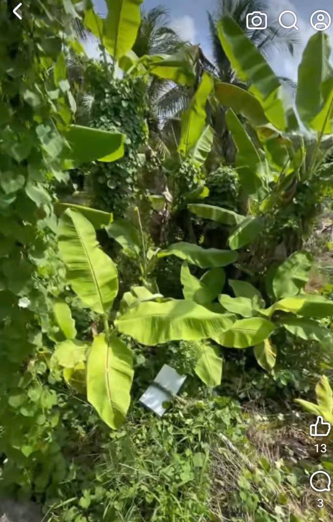 Bán đất Thuận Hòa, An Minh, Kiên Giang, khu dân cư hiện hữu, vị trí thuận tiện