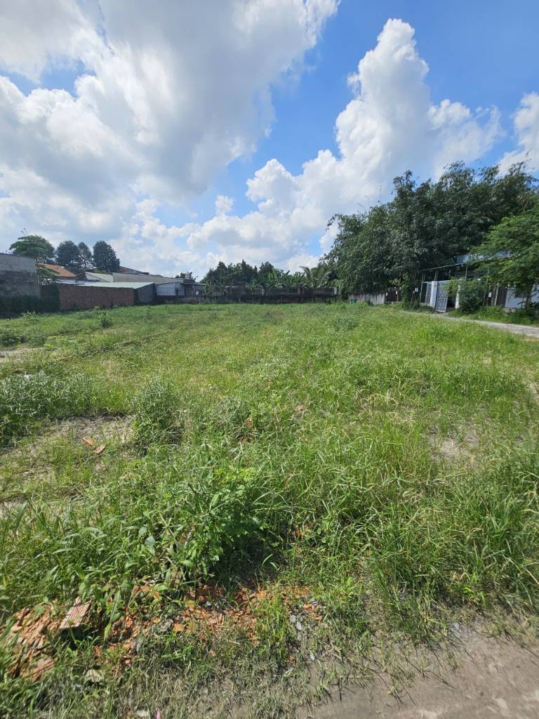 Cần bán gấp đất Tỉnh Lộ 7, Củ Chi, 600m² có thổ cư, sổ hồng riêng, giá 620 triệu