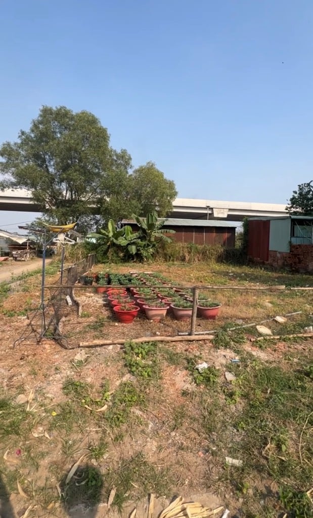 Đất Long Bình Đồng Giá 3.15ty Sát Vinhomes