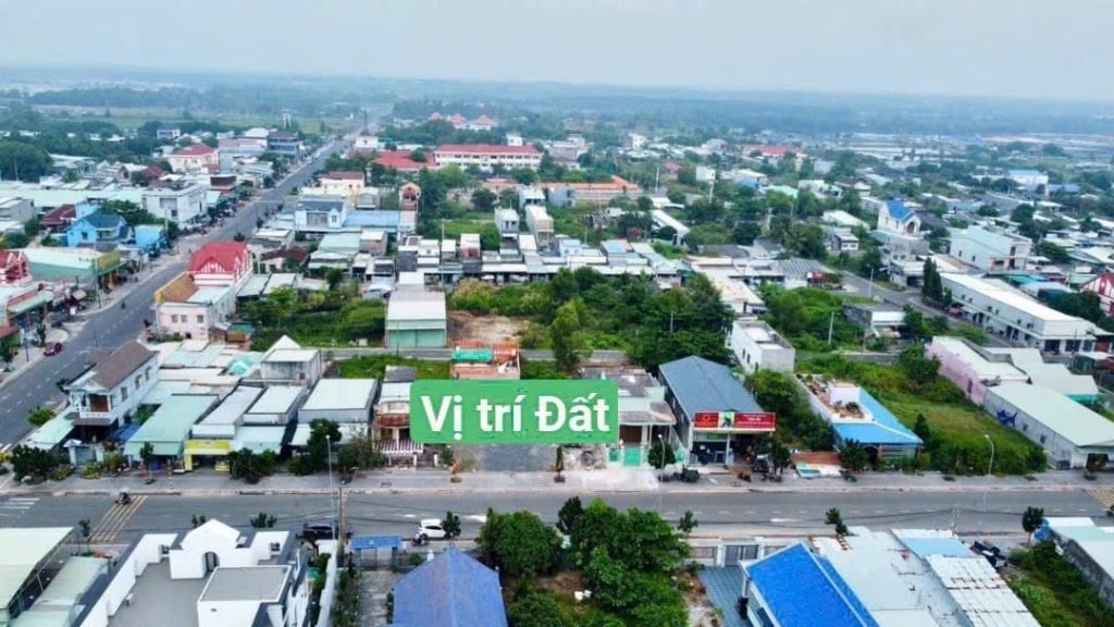 thuviennhadat.vn