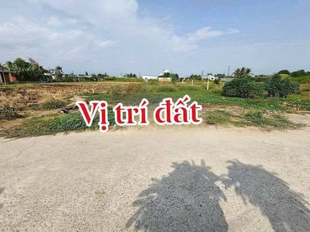 thuviennhadat.vn
