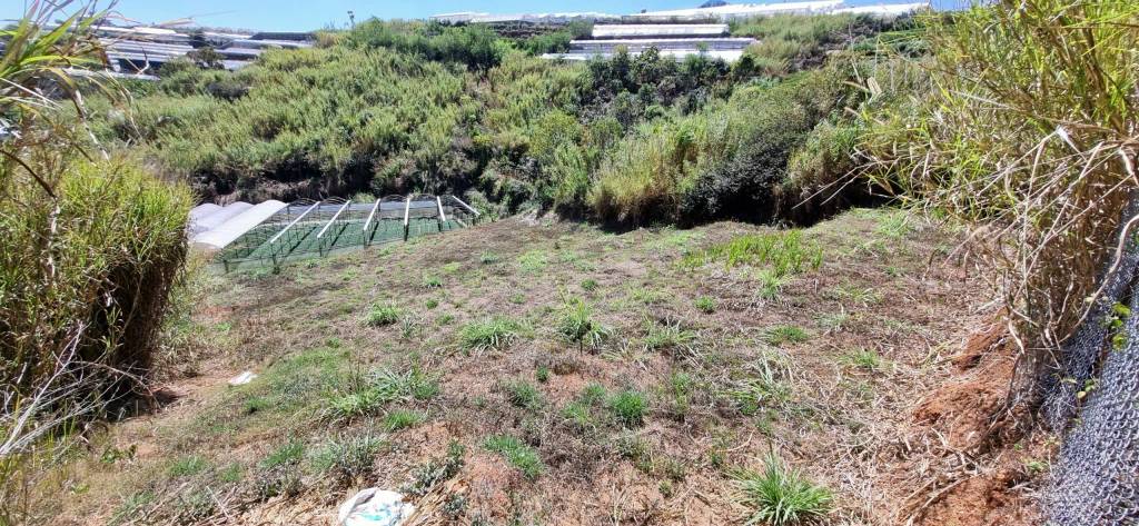 Bán đất Nông nghiệp giá chỉ 2.6 tỷ VND