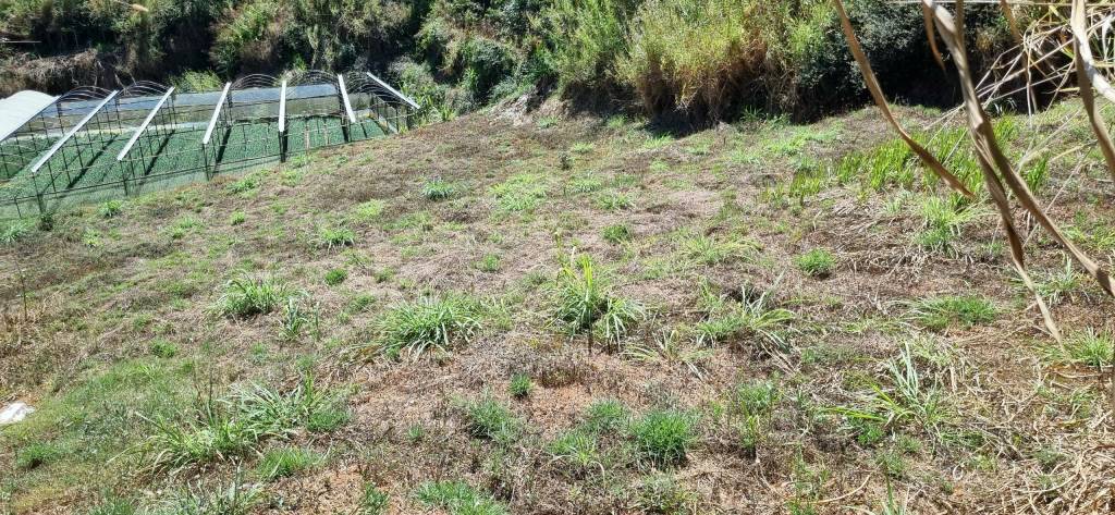 Bán đất Nông nghiệp giá chỉ 2.6 tỷ VND