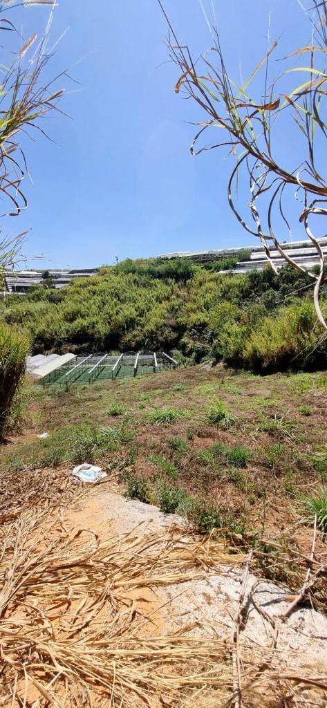 Bán đất Nông nghiệp giá chỉ 2.6 tỷ VND