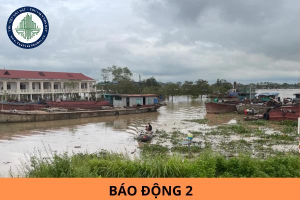 thuviennhadat.vn