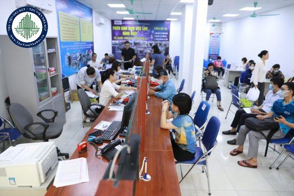 thuviennhadat.vn