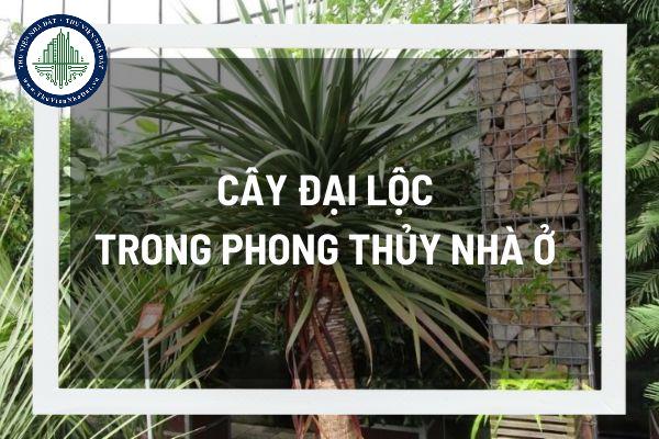 thuviennhadat.vn