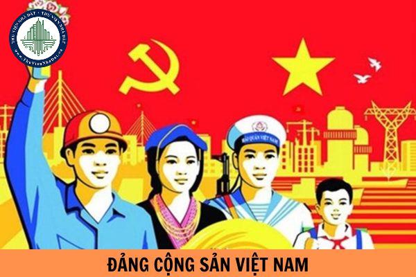thuviennhadat.vn