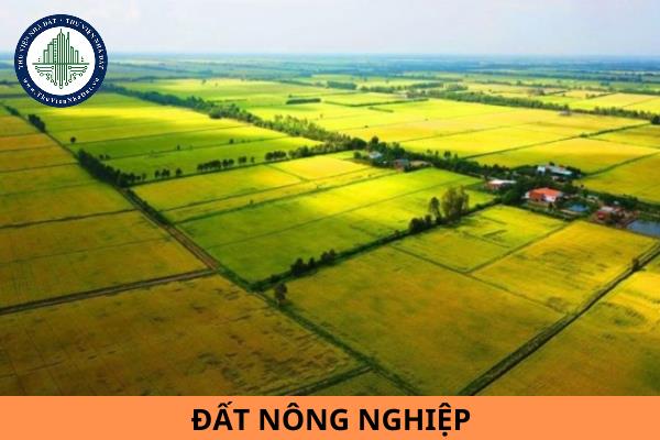thuviennhadat.vn
